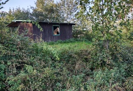 IMG 20231011 092530936 HDR