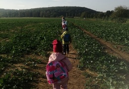 IMG-20231011-WA0030