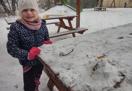 Školní rok 2023/2024