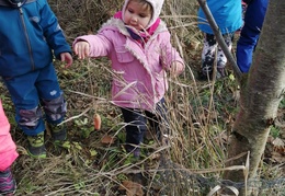 IMG-20231219-WA0018