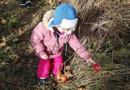 IMG-20231219-WA0027