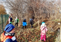 IMG-20231219-WA0049