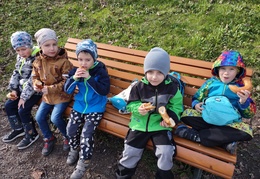 Školní rok 2023/2024