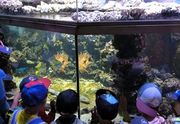 IMG-20240531-WA0025