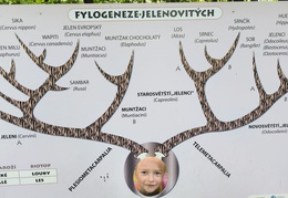 IMG-20240531-WA0044