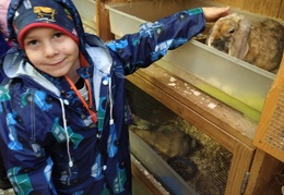 Školní rok 2025/2026